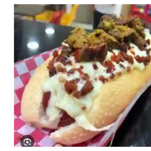 Perro los Molinos