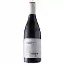 Dory Vino Tinto Lisboa