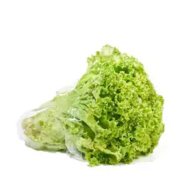 Lechuga Verde Crespa Fresca