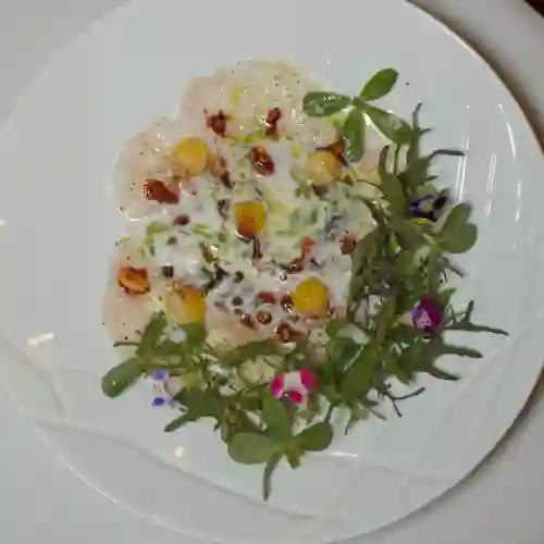 Tiradito de Corvina