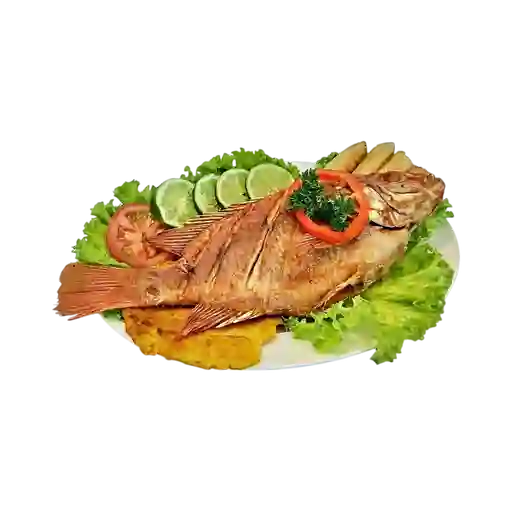Mojarra
