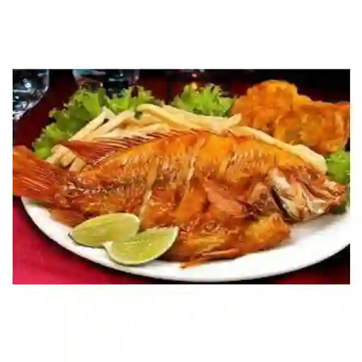 Mojarra Roja/frita