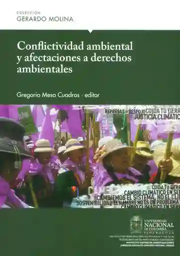 Conflictividad Ambiental y Afectaciones a Derechos Ambientales