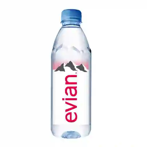 Evian Agua Natural Sin Gas 500 Cc