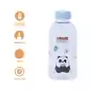 Botella de Vidrio Colección Osos Escandalosos Panda Miniso