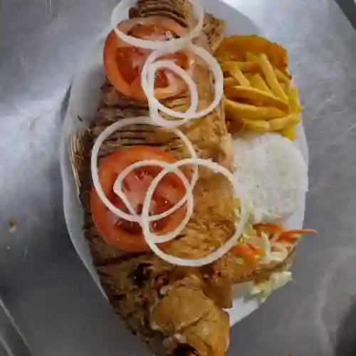 Bocachico Frito Mediano