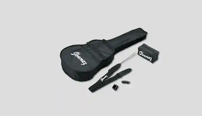 Ibanez Guitarra Acústica V50Njp-Vs /Afina Kit