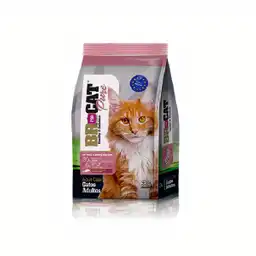 Br For Cats Alimento para Gato Adulto Sabor a Salmón 