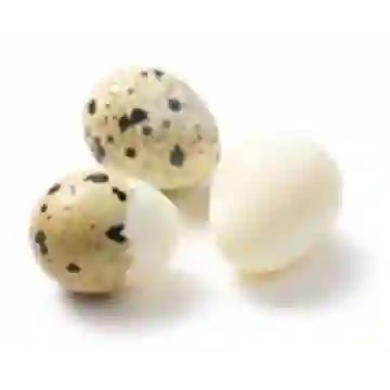 Huevos de Codorniz