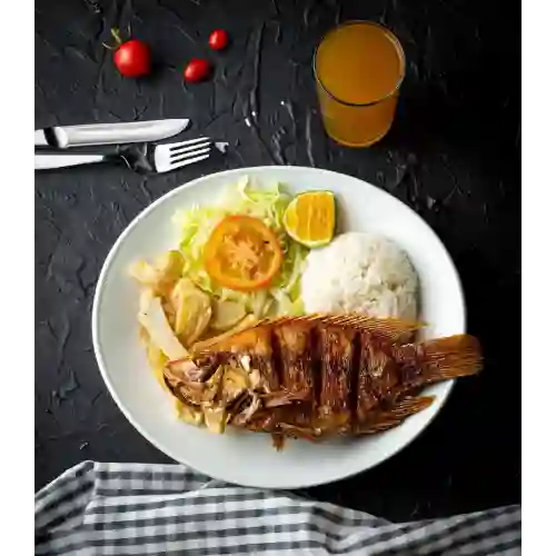 Bandejas con Tilapia Frita