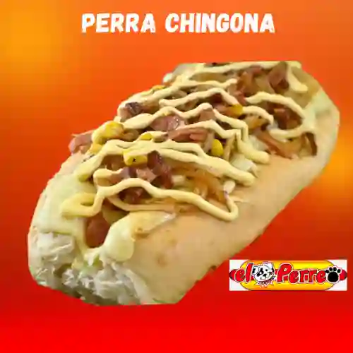 Perra Chingona