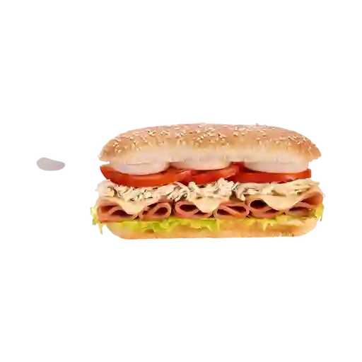 Sandwich Especial