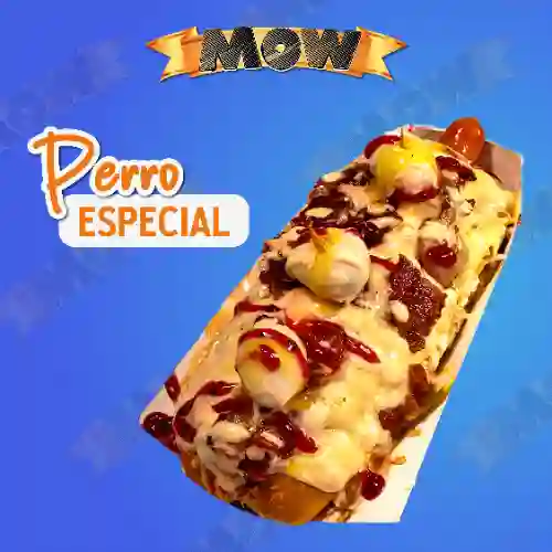 Perro Especial