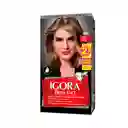 Tinte Igora Brillance 801 Rubio Claro Cenizo