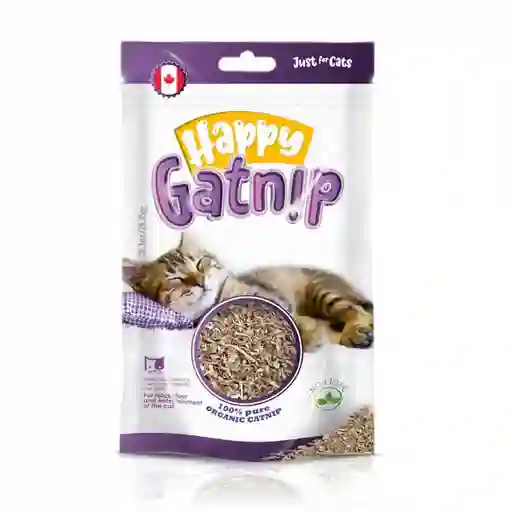 Hierba Happy Gatnip Gatuna