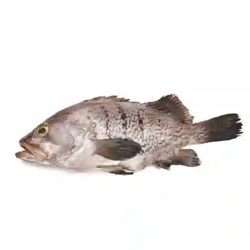 Pescado Merito