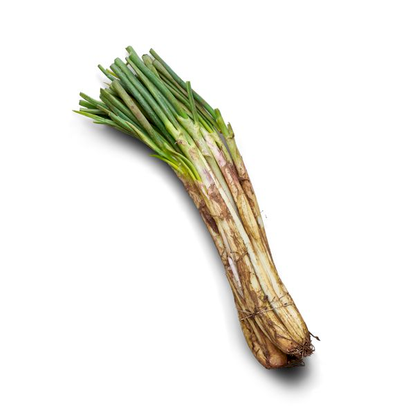 Cebolla Larga Sucia 350 g