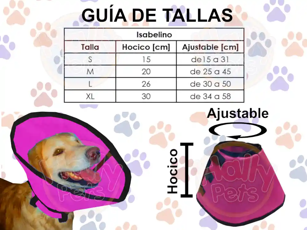 Collar Isabelino Talla L