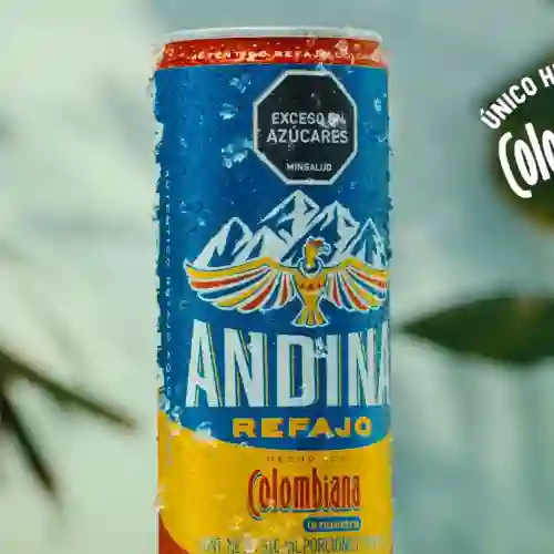 Refajo Andina 310 ml