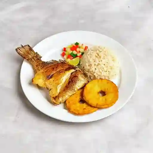 Robalo