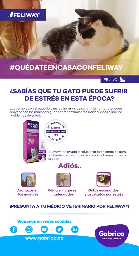 Feliway Suplemento y Vitaminas Classic Spray 60 mL