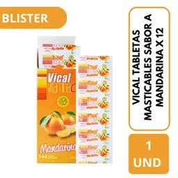 Vical Vitamina C (500 mg)