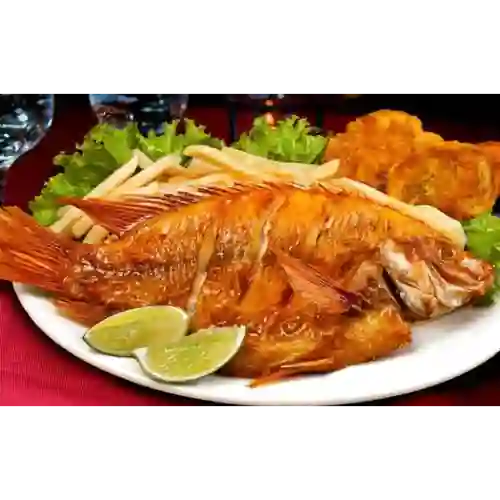 Mojarra Frita