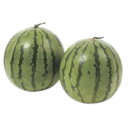 Makro Patilla Baby