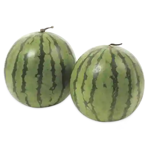 Makro Patilla Baby