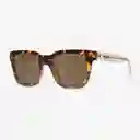 Knockaround Gafas Songbirds Tortoise