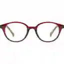 Foster Grant Gafas Zinnia Pas Red + 3.50