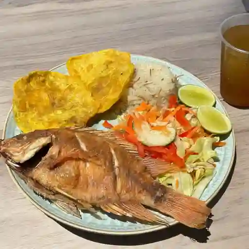 Mojarra