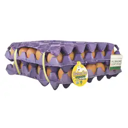 Huevos Oro Huevos Oro Huevo Rojo