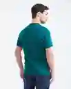 Camiseta Verde Pluvisilva Ultraoscuro T XXL Chevignon