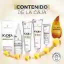 Igora Kit Tinte Vital Chocolate Dorado + Oxigenta 6-34 150 mL