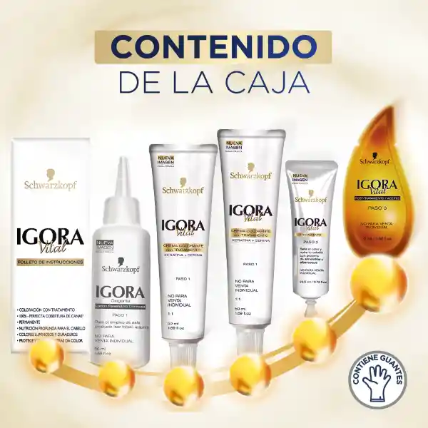 Igora Kit Tinte Vital Chocolate Dorado + Oxigenta 6-34 150 mL