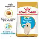 Royal Canin Breed Health Nutrition Golden Retriever Puppy