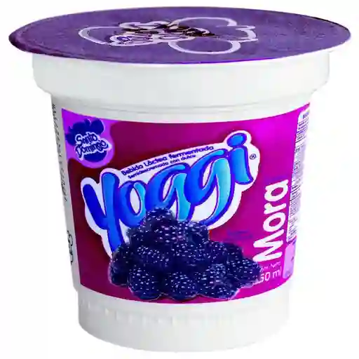 Santo Domingo Bebida Láctea Fermentada