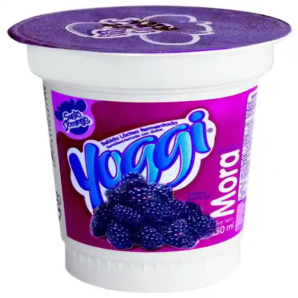 Santo Domingo Bebida Láctea Fermentada