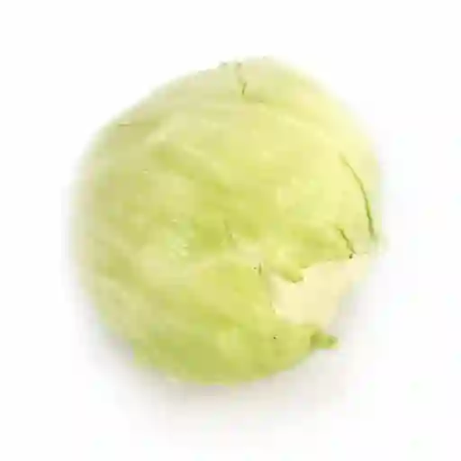 Lechuga Crespa Economica *