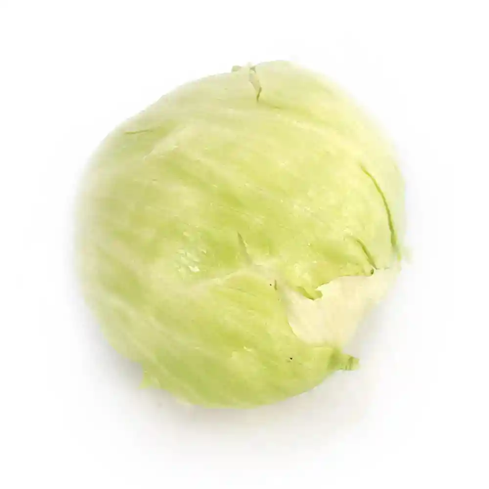 Lechuga Crespa Economica *