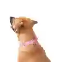 Collar Ajustable Para Perro Mylu L Rosada
