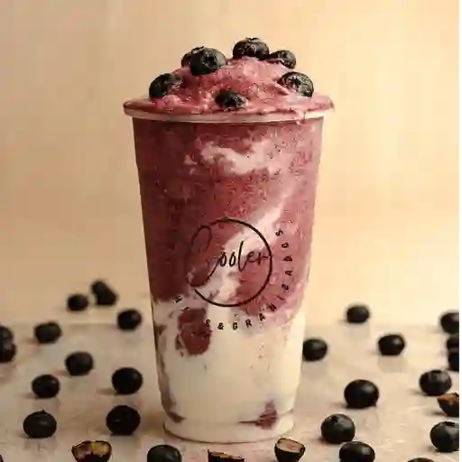 Berry dream 12 onzas