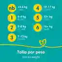 Pampers Pañales Baby-Dry Talla 5 x 112 Unidades