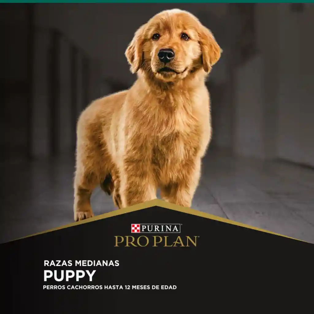 Comida para Perros cachorros razas medianas Purina Pro Plan x 1 kg
