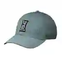 Gorra Republic 3.0 Gris Everlast