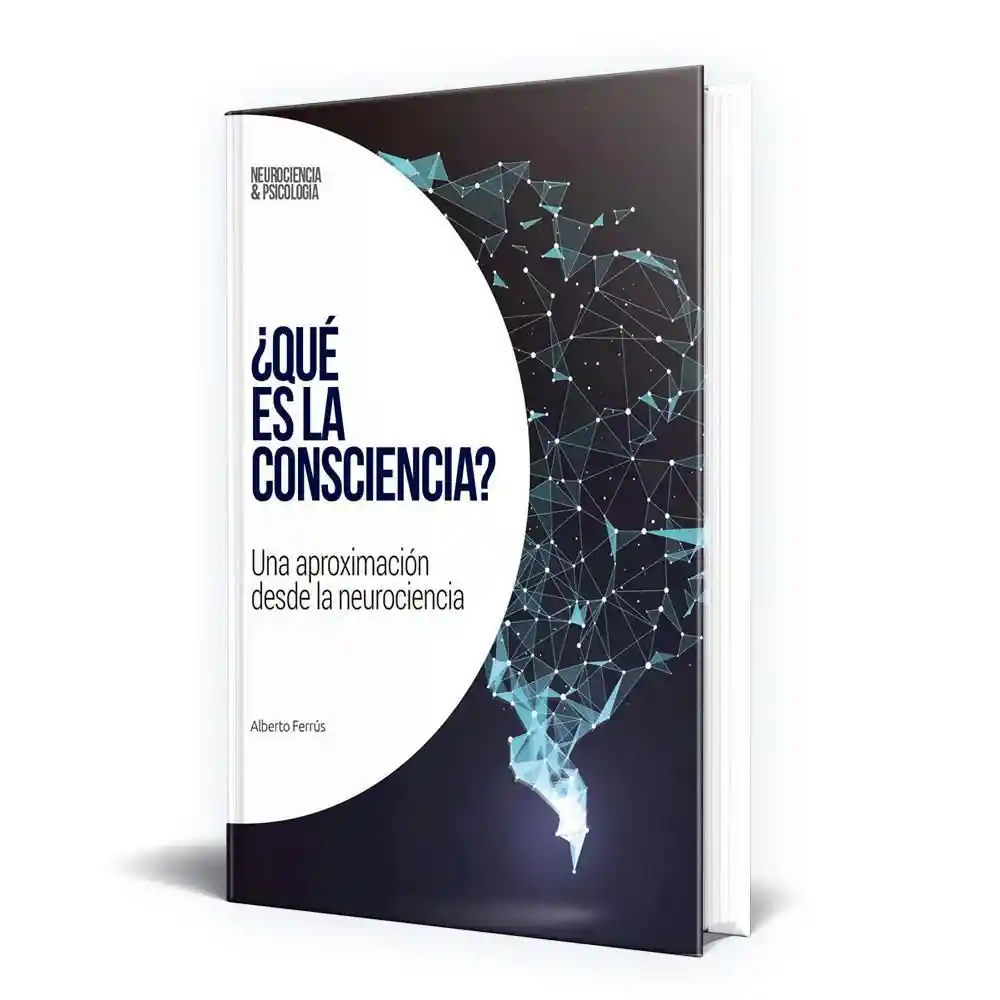 Neuro C Que Es La Consciencia El Tiempo 700005086