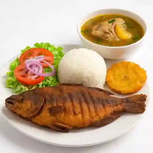 Bagre Frito O en Salsa