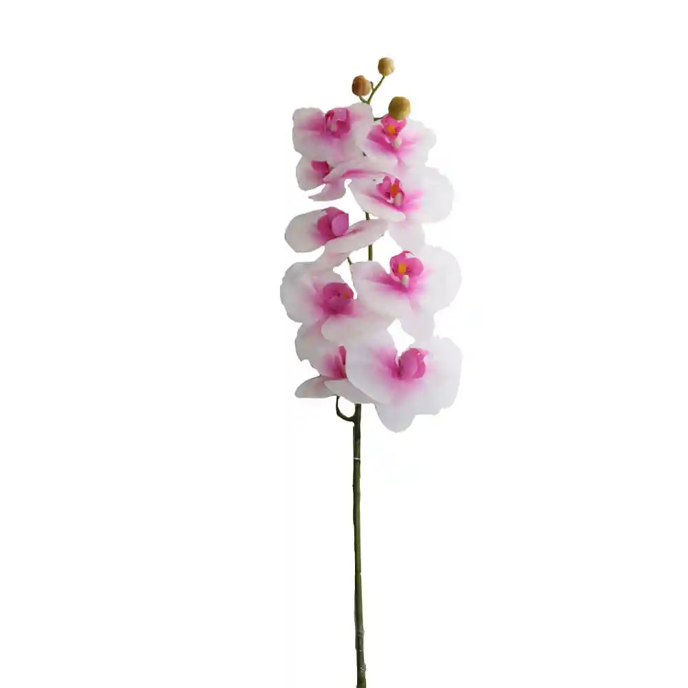 Orquidea Gio Home Mposa 9 Ramas Blanco Morado