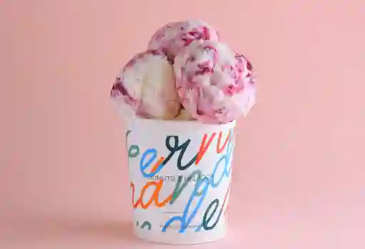 Pinta Yogurt, Acai & Fruts Rojs x 385 Gr